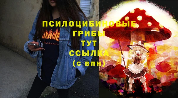 прущий лед Лиски