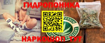 индика Балахна