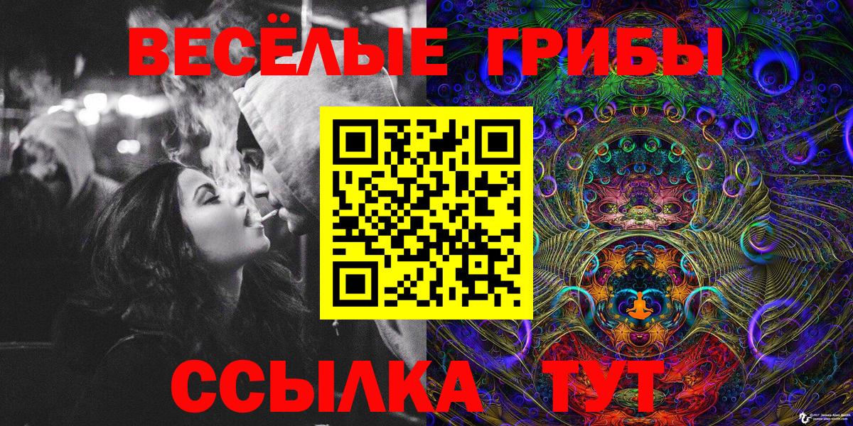 Псилоцибиновые грибы Cubensis Борисоглебск