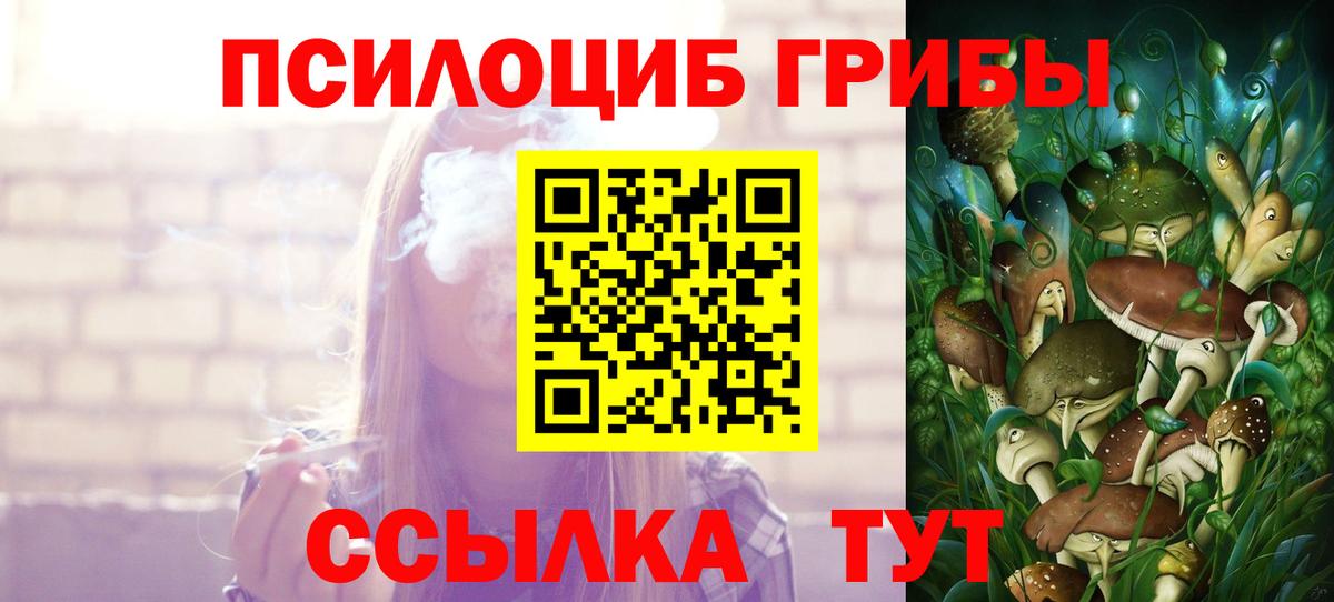 Борисоглебск  Псилоцибиновые грибы MAGIC MUSHROOMS  Вход с VPN 